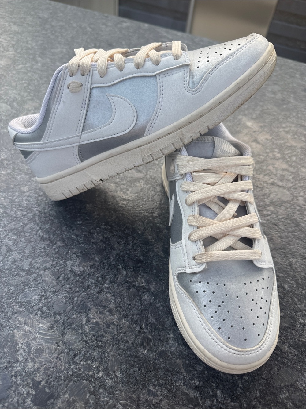 Nike Dunk Low Next Nature - White & Silver